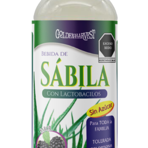 ALOE VERA BEBIDA SABOR MORAS